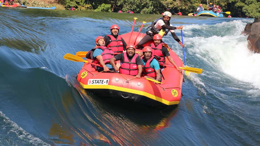 Top 10 Wildlife Experiences in Dandeli You Can’t Miss